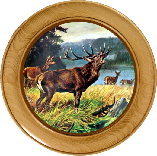 Schützenscheibe Brüllender Hirsch – Leimholz Buche | 30 / 40 / 50 cm