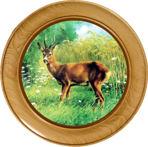 Schützenscheibe Rehbock links – Leimholz Buche | 30 / 40 / 50 cm