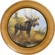 Elch - gedrechselte Schützenscheibe 3 cm dick, Echtholz, Leimholz Buche, Ehrenscheibe, zum Beschuß geeignet.