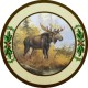 Schützenscheibe „Elch“, Ehrenscheibe, Zielscheibe – 30/40/50 cm