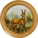 Schützenscheibe Rehbock – Leimholz Buche | 30 / 40 / 50 cm