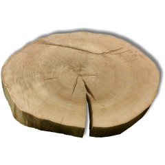 Baumscheibe Eiche, extra dick, ohne Splint