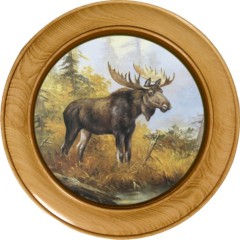 Schützenscheibe Elch – Leimholz | 30 / 40 / 50 cm