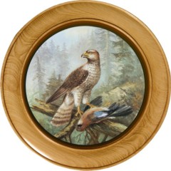 Schützenscheibe Falke mit Eichelhäher – Leimholz Buche | 30 / 40 / 50 cm