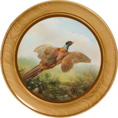 Schützenscheibe Fasan – Leimholz Buche | 30 / 40 / 50 cm