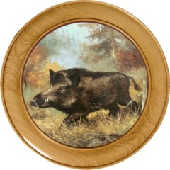 Schützenscheibe Keiler – Leimholz Buche | 30 / 40 / 50 cm