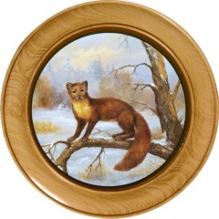 Schützenscheibe Marder – Leimholz Buche | 30 / 40 / 50 cm