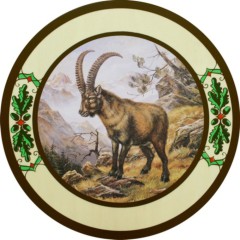 Schützenscheibe "Widder", Ehrenscheibe, Schießscheibe – 30/40/50 cm